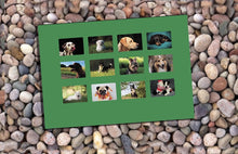 Load image into Gallery viewer, Woof! Dog Lovers! Calendar