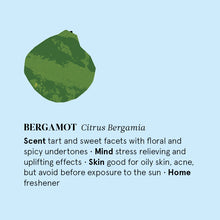 Load image into Gallery viewer, Bergamot Essential Oil 12ML