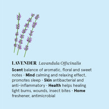 Load image into Gallery viewer, Lavender (French) Essential Oil 12ML