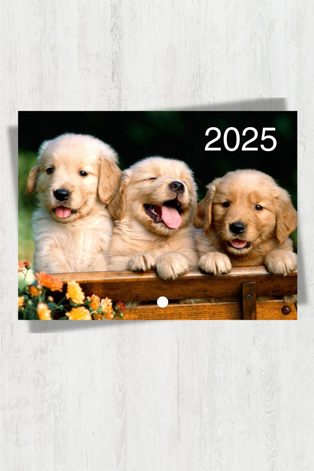 Woof! Dog Lovers! Calendar