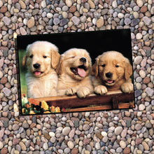 Load image into Gallery viewer, Woof! Dog Lovers! Calendar
