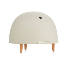 Load image into Gallery viewer, Maël Diffuser - Light Grey
