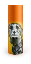Load image into Gallery viewer, Eoin O&#39;Connor Mutz Water Bottle - Mr. Lover
