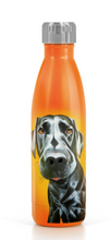 Load image into Gallery viewer, Eoin O&#39;Connor Mutz Water Bottle - Mr. Lover
