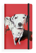 Load image into Gallery viewer, Eoin O&#39;Connor Mutz A5 Notebook - Cruella
