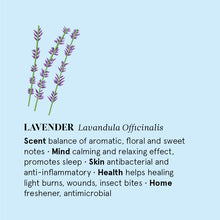 Load image into Gallery viewer, Lavender (French) Essential Oil 12ML

