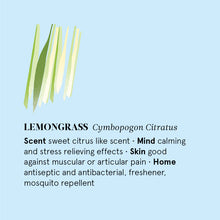 Load image into Gallery viewer, Lemongrass Essential Oil 12ML
